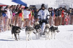 Lenk 2013
